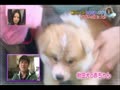 DAIGO いずも成長の旅 in 大分(前篇)