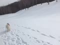 雪の中のミーシャ