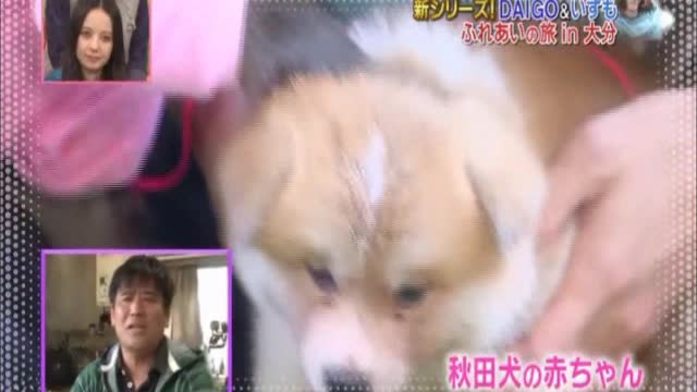 DAIGO いずも成長の旅 in 大分(前篇) - FC2 Video